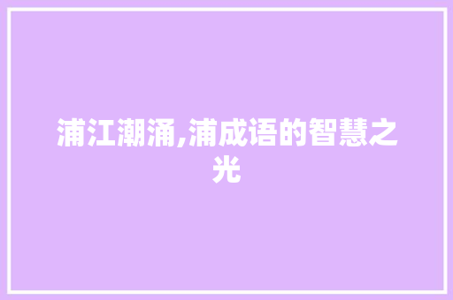浦江潮涌,浦成语的智慧之光