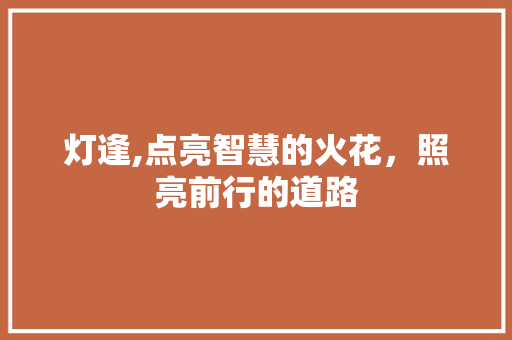 灯逢,点亮智慧的火花，照亮前行的道路