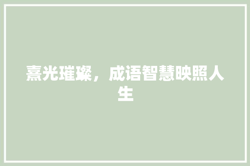 熹光璀璨，成语智慧映照人生