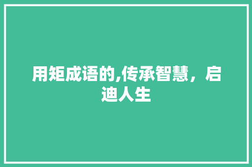 用矩成语的,传承智慧，启迪人生