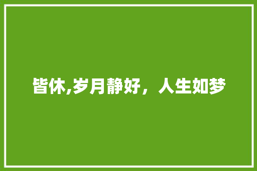 皆休,岁月静好，人生如梦 名人名言