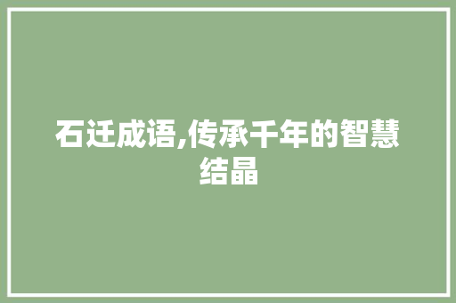 石迁成语,传承千年的智慧结晶