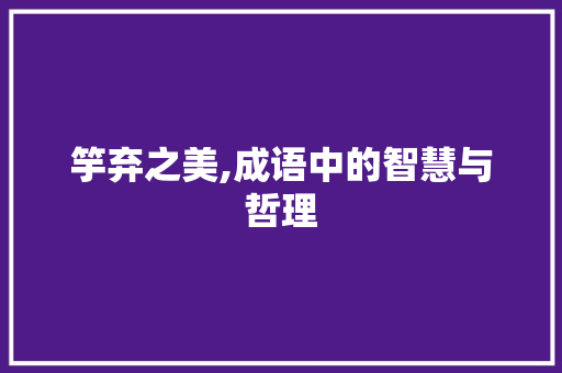 竽弃之美,成语中的智慧与哲理
