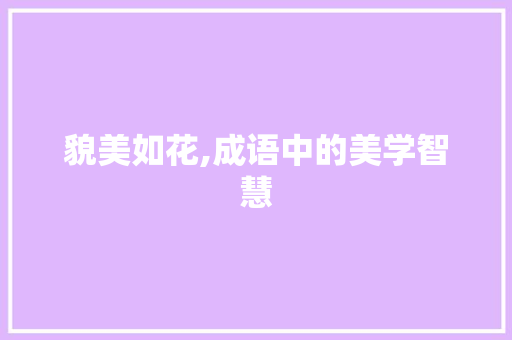 貌美如花,成语中的美学智慧