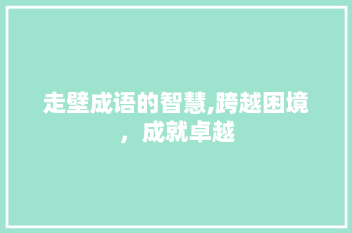 走壁成语的智慧,跨越困境，成就卓越