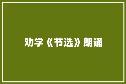 艾草香包,传承千年文化，弘扬传统智慧 演讲稿