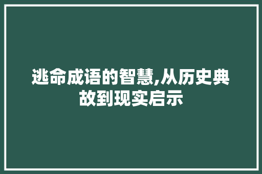 逃命成语的智慧,从历史典故到现实启示