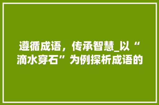 遵循成语，传承智慧_以“滴水穿石”为例探析成语的内涵与价值