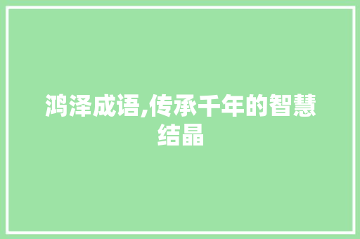 鸿泽成语,传承千年的智慧结晶