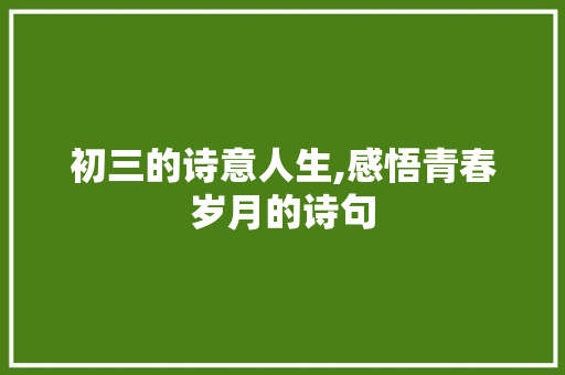 初三的诗意人生,感悟青春岁月的诗句