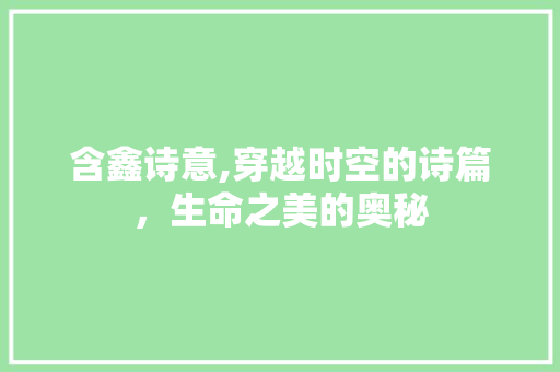 含鑫诗意,穿越时空的诗篇，生命之美的奥秘