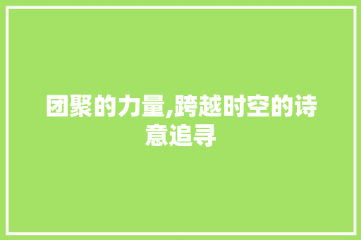 团聚的力量,跨越时空的诗意追寻