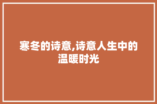 寒冬的诗意,诗意人生中的温暖时光 成语大全