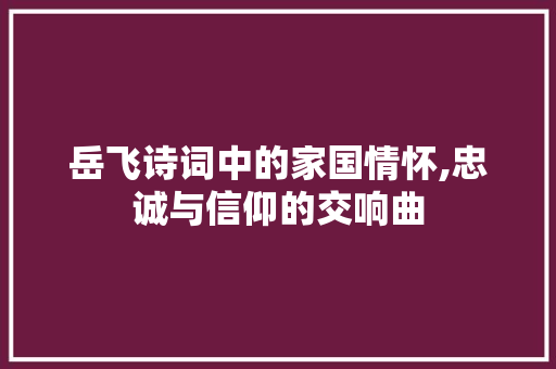 岳飞诗词中的家国情怀,忠诚与信仰的交响曲