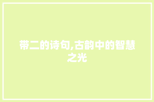 带二的诗句,古韵中的智慧之光
