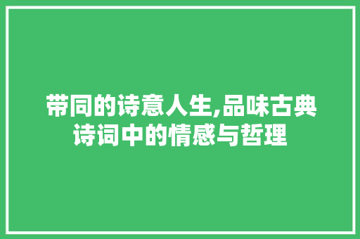 带同的诗意人生,品味古典诗词中的情感与哲理
