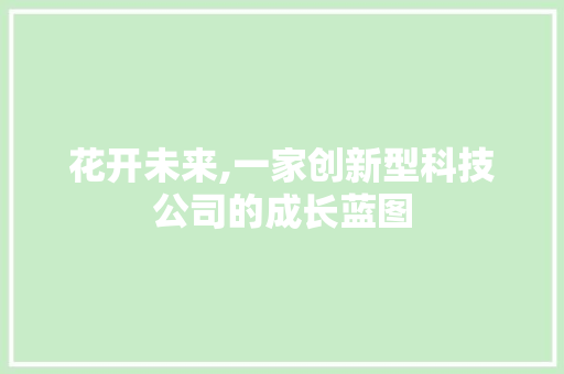 花开未来,一家创新型科技公司的成长蓝图 演讲稿