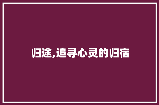 归途,追寻心灵的归宿
