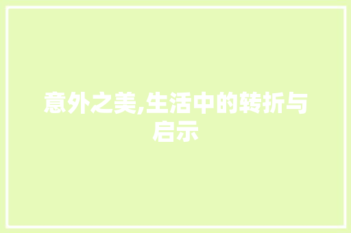 意外之美,生活中的转折与启示