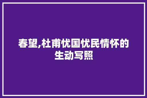 春望,杜甫忧国忧民情怀的生动写照