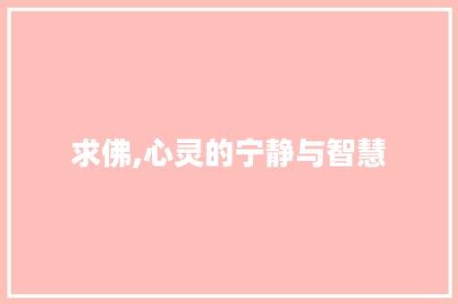 求佛,心灵的宁静与智慧