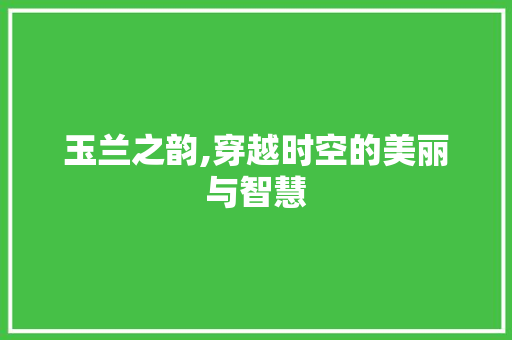 玉兰之韵,穿越时空的美丽与智慧