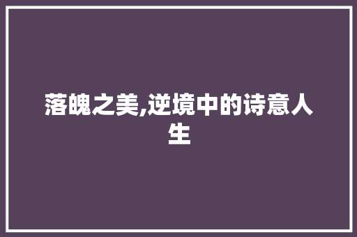 落魄之美,逆境中的诗意人生