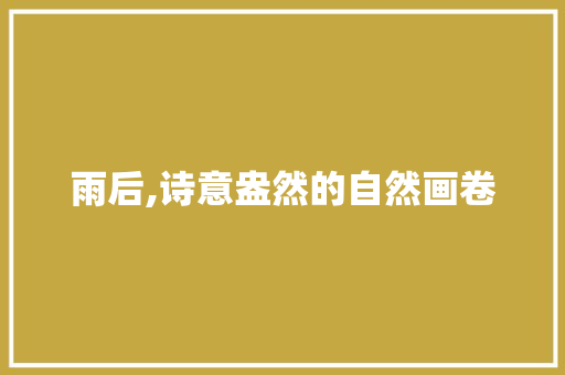 雨后,诗意盎然的自然画卷