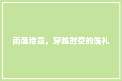 雨落诗意，穿越时空的洗礼