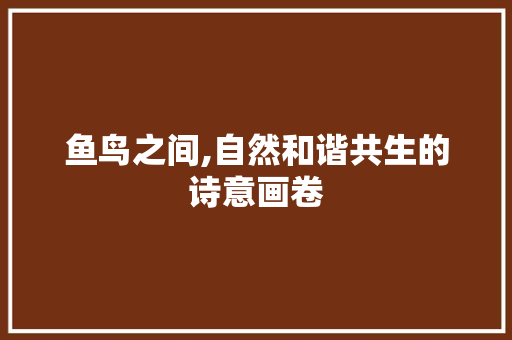 鱼鸟之间,自然和谐共生的诗意画卷