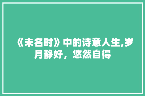 《未名时》中的诗意人生,岁月静好，悠然自得