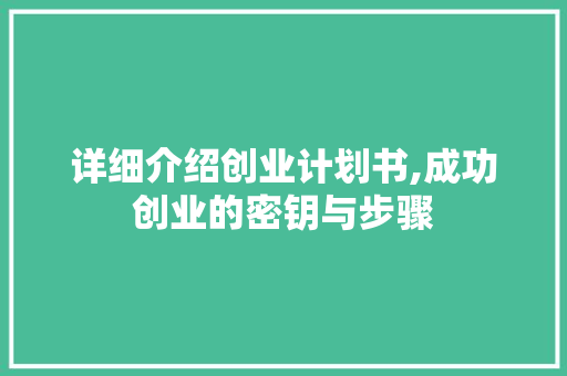 详细介绍创业计划书,成功创业的密钥与步骤