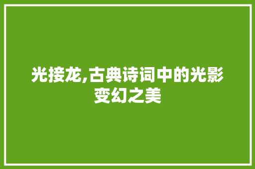 光接龙,古典诗词中的光影变幻之美