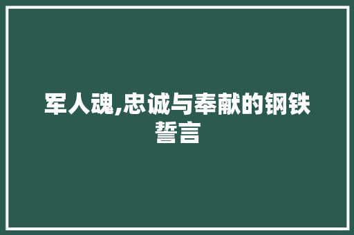军人魂,忠诚与奉献的钢铁誓言 合同范本