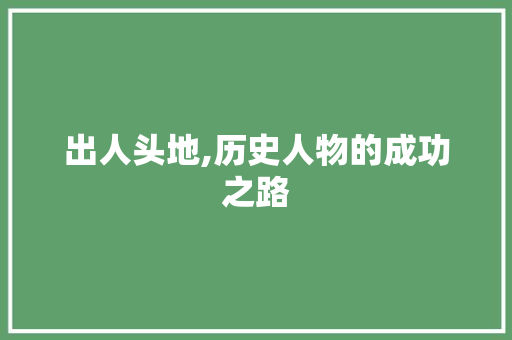出人头地,历史人物的成功之路 工作总结