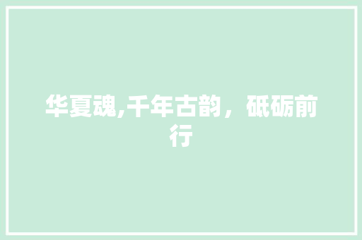 华夏魂,千年古韵，砥砺前行
