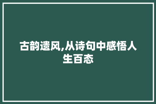 古韵遗风,从诗句中感悟人生百态