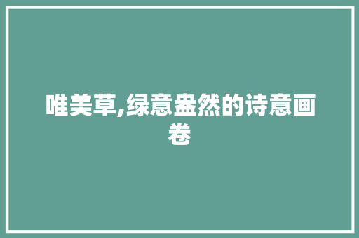 唯美草,绿意盎然的诗意画卷
