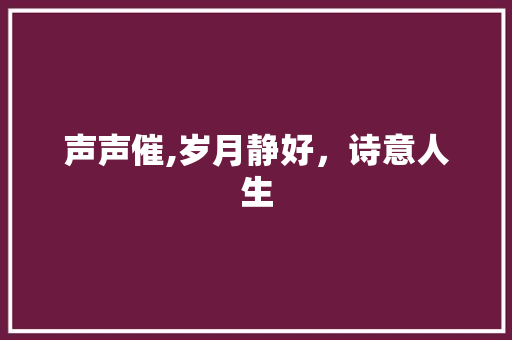 声声催,岁月静好，诗意人生