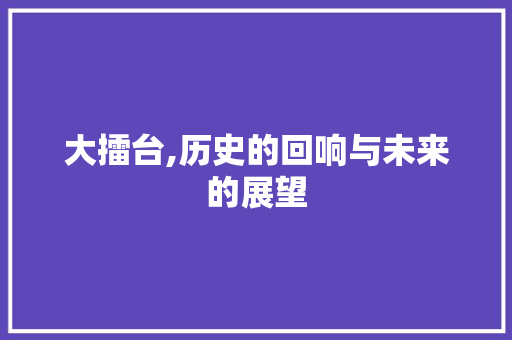 大擂台,历史的回响与未来的展望 工作计划