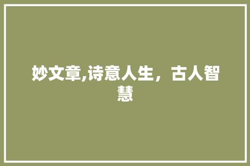 妙文章,诗意人生，古人智慧