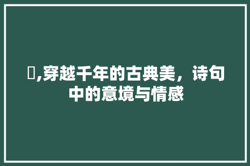 娙,穿越千年的古典美，诗句中的意境与情感