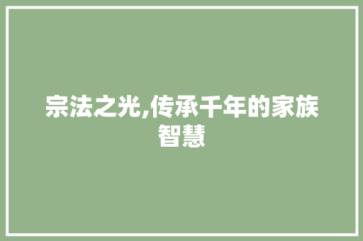 宗法之光,传承千年的家族智慧