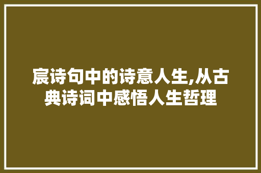 宸诗句中的诗意人生,从古典诗词中感悟人生哲理