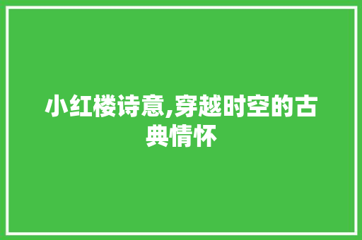 小红楼诗意,穿越时空的古典情怀