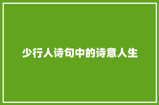 少行人诗句中的诗意人生