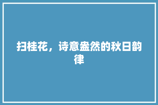 扫桂花，诗意盎然的秋日韵律