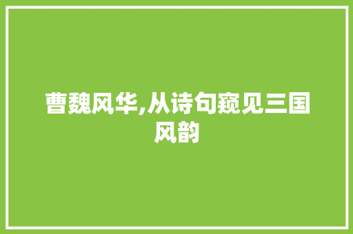 曹魏风华,从诗句窥见三国风韵 合同范本