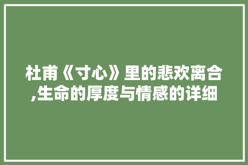 杜甫《寸心》里的悲欢离合,生命的厚度与情感的详细
