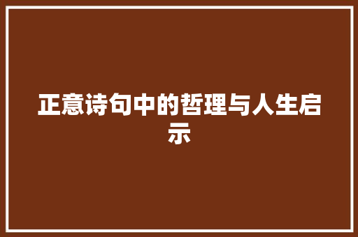 正意诗句中的哲理与人生启示